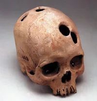 1582611692646169.jpg 7_wps圖片77.jpg