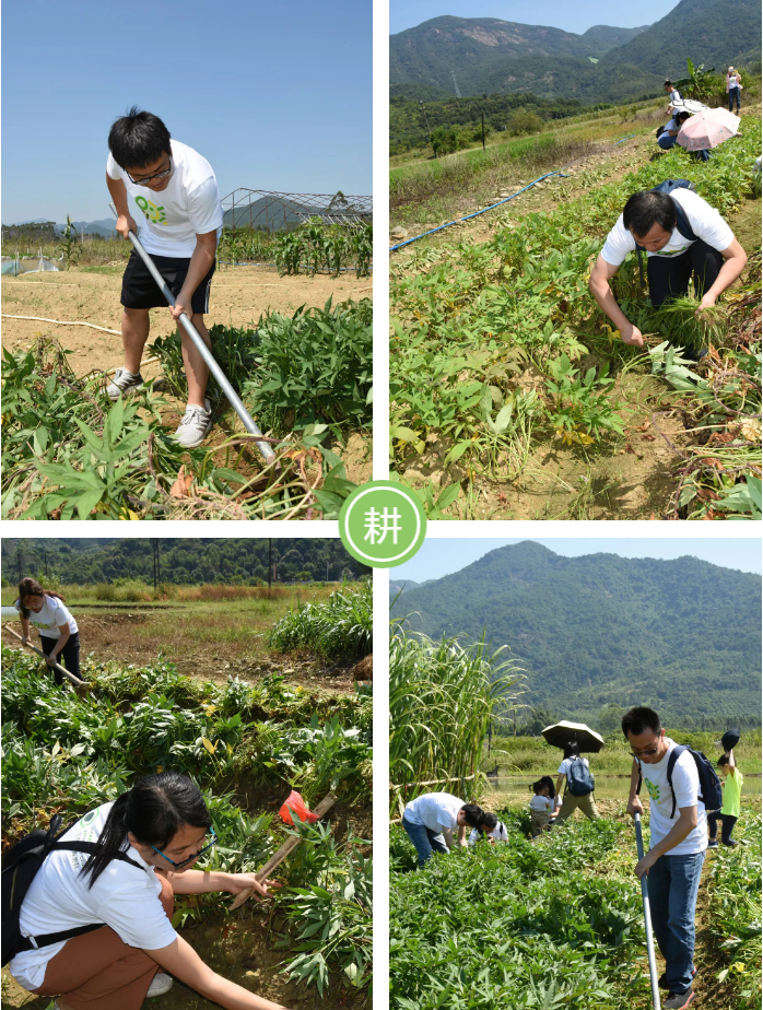 1583832797824557.png 65.png