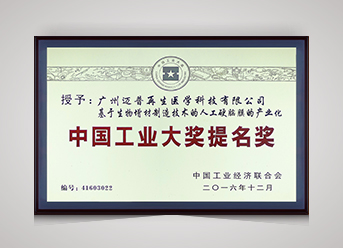中國工業大獎提名獎
