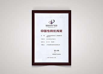 中國專利優秀獎