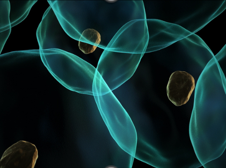 3D動態(tài)灌流培養(yǎng)：構建更真實的細胞體外生長環(huán)境