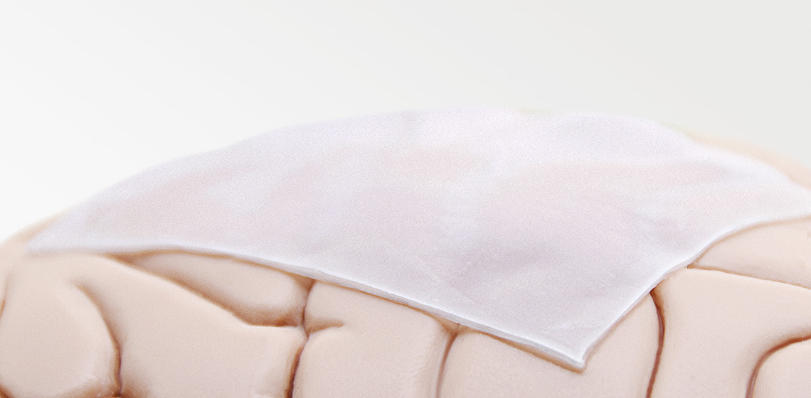 非動物源可吸收